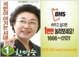 민주통합당 당대표 대표경선 선거홍보